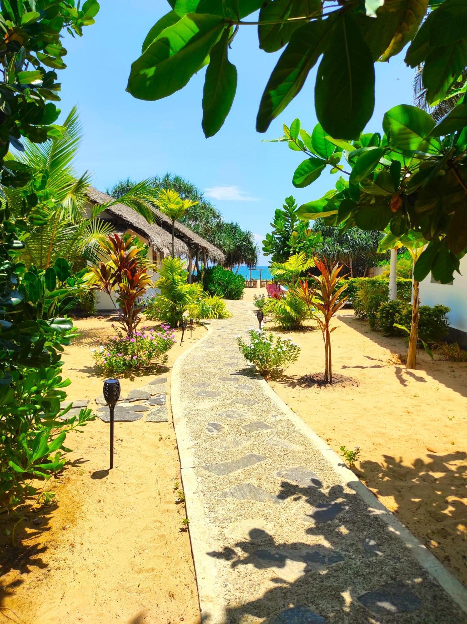 Sleeping Elephant Beach Resort Tangalle Eksteriør billede